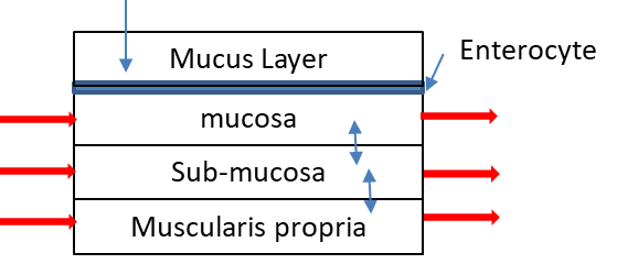 image-20250122-193259.png