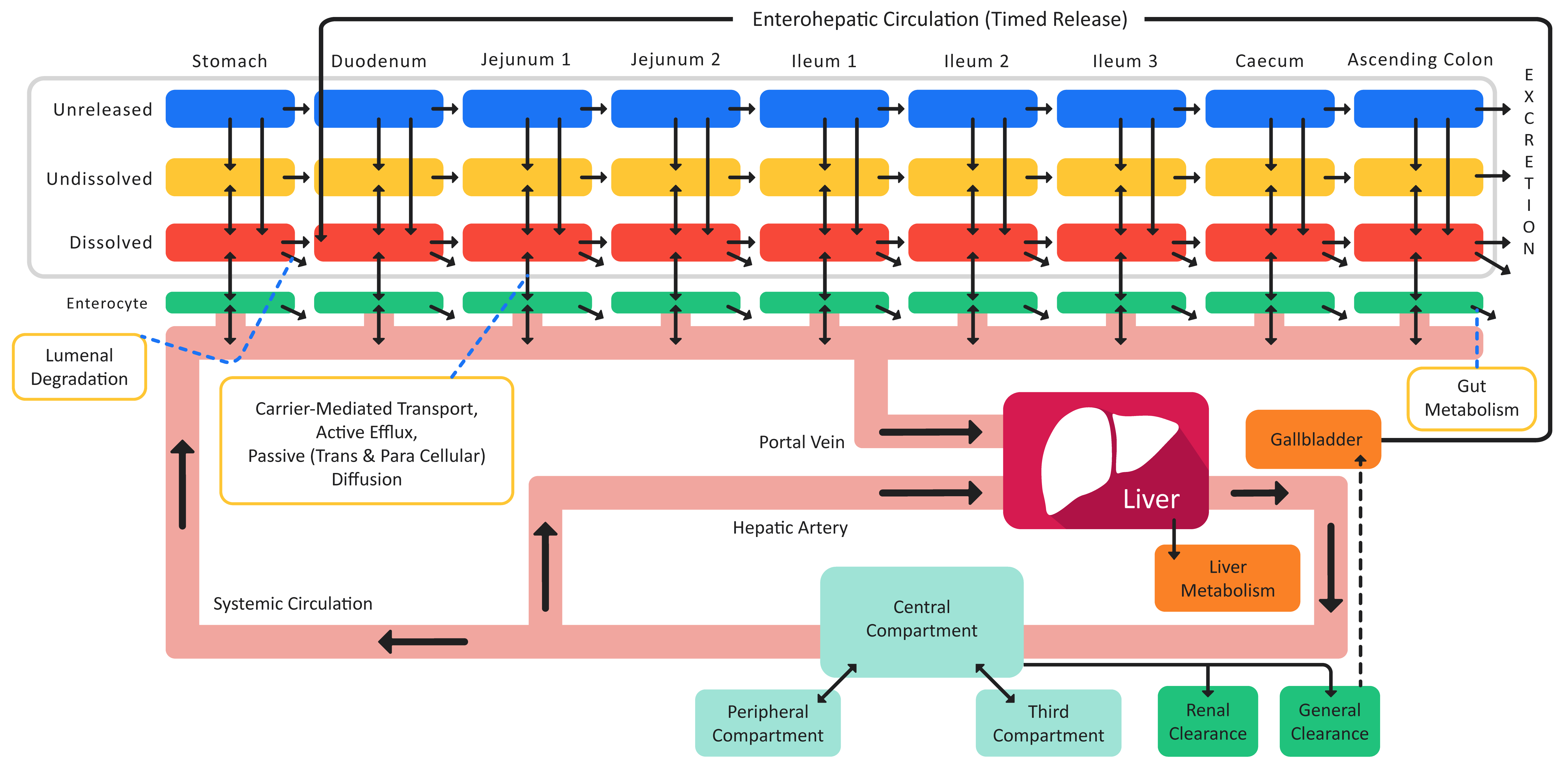 Figure 1-1 Fiona Maxime 1-21-26-20260122-083838.png